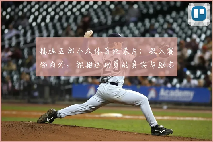 精选五部小众体育纪录片：深入赛场内外，挖掘运动员的真实与励志故事